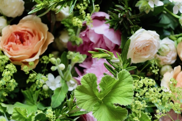 「季節のお花便り」お届け限定日　6月18日着・19日着　となります。みなさんのお家と心に 生命力ある花々と植物のみずみずしい彩りを お届けいたしますご自宅で お花を活ける時間と 素敵なお花たちをお楽しみください。